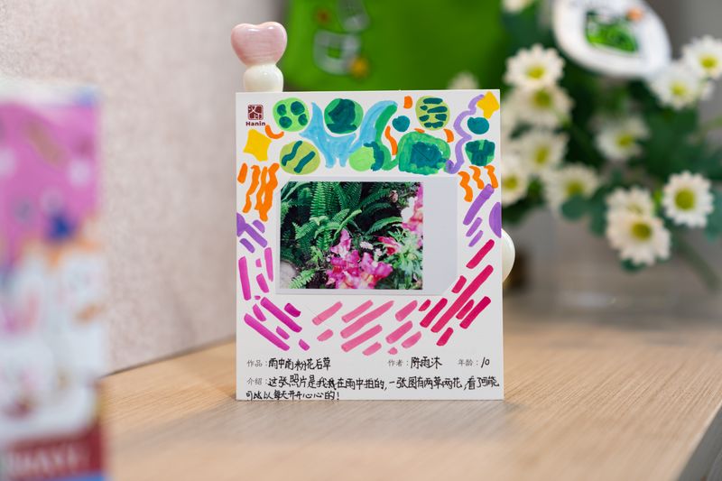 BBIN宝盈集团拍立得作品 雨中前粉花后草