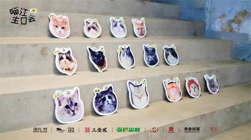 喵的生日会 1