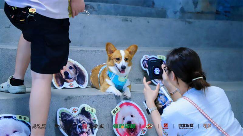 汪的生日会 2